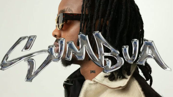 Lil Maina - Fully Red (Audio) (Single).mp4